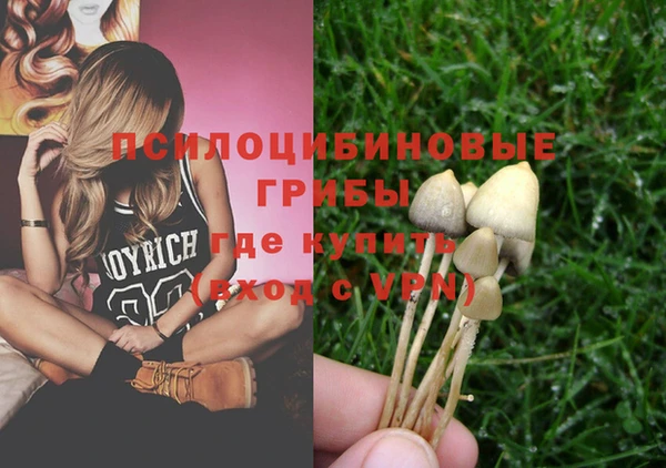 кокс Дмитриев