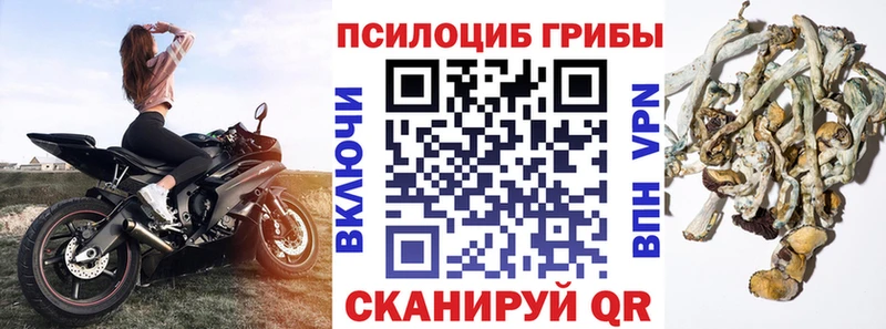 мега сайт  Дно  Галлюциногенные грибы ЛСД 